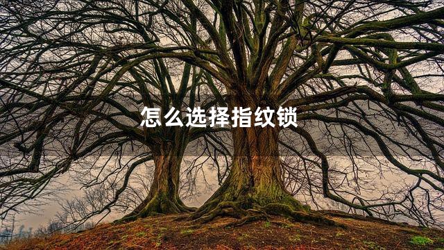 怎么选择指纹锁