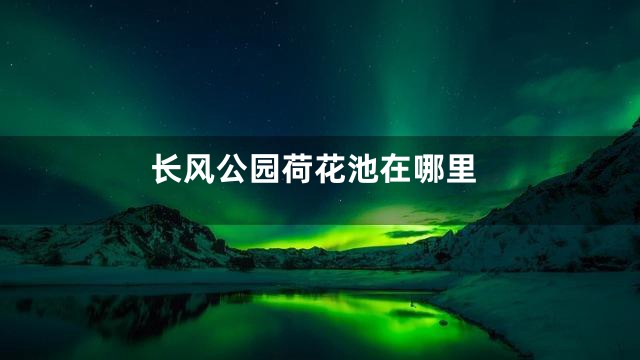 长风公园荷花池在哪里