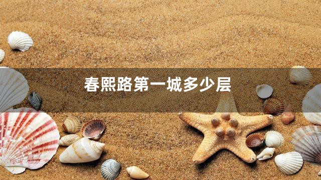 春熙路第一城多少层