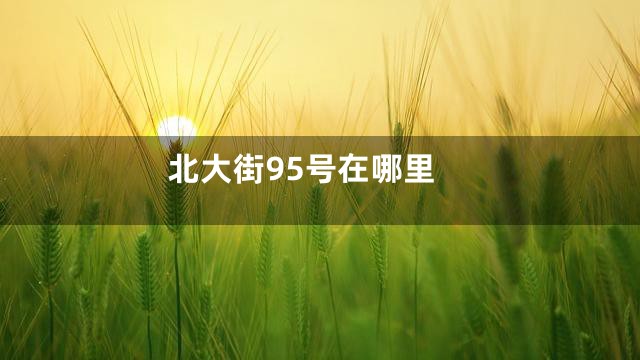北大街95号在哪里