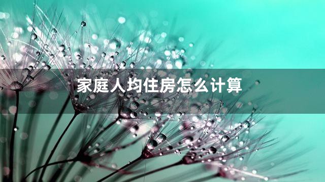 家庭人均住房怎么计算