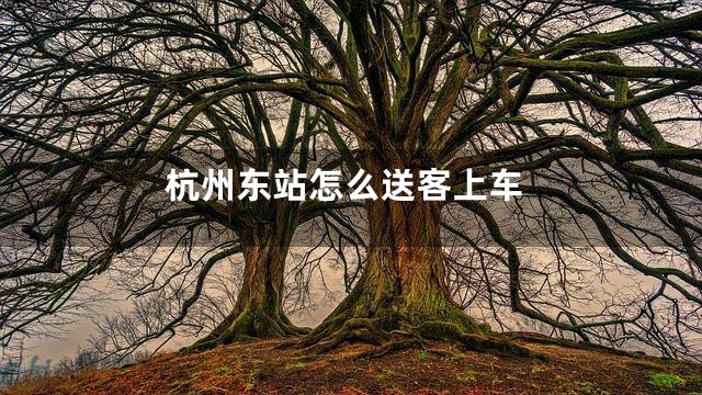杭州东站怎么送客上车