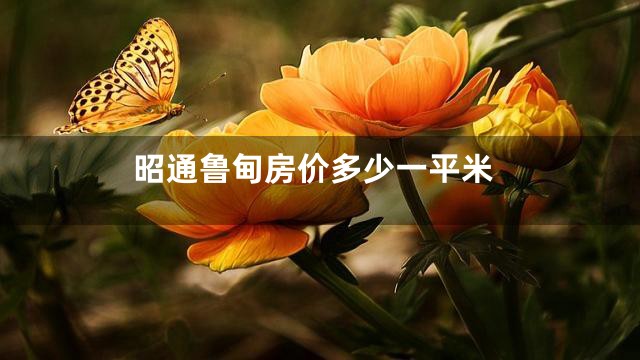 昭通鲁甸房价多少一平米