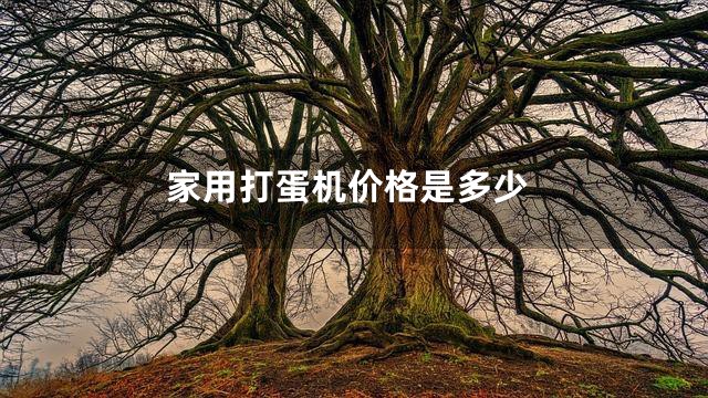 家用打蛋机价格是多少