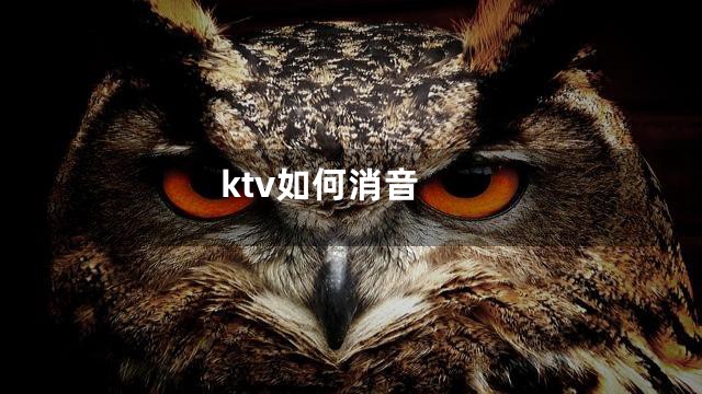 ktv如何消音