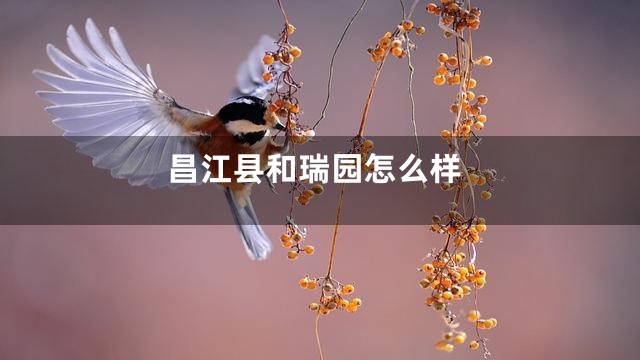 昌江县和瑞园怎么样