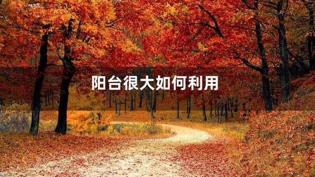 阳台很大如何利用