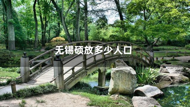 无锡硕放多少人口