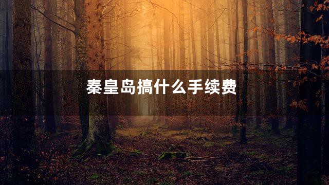 秦皇岛搞什么手续费