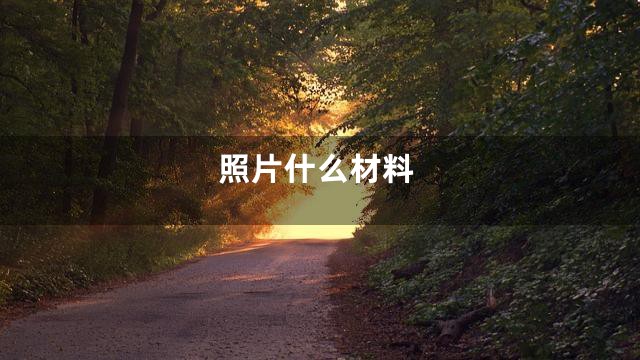 照片什么材料
