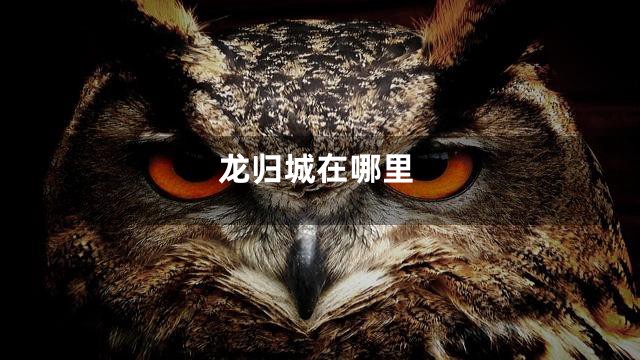 龙归城在哪里