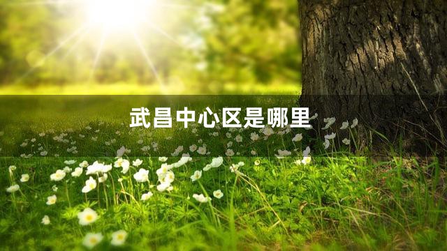 武昌中心区是哪里