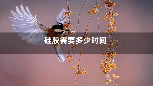 硅胶需要多少时间