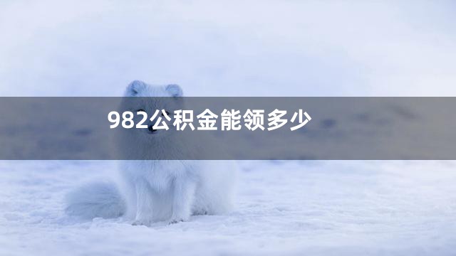 982公积金能领多少