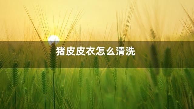 猪皮皮衣怎么清洗