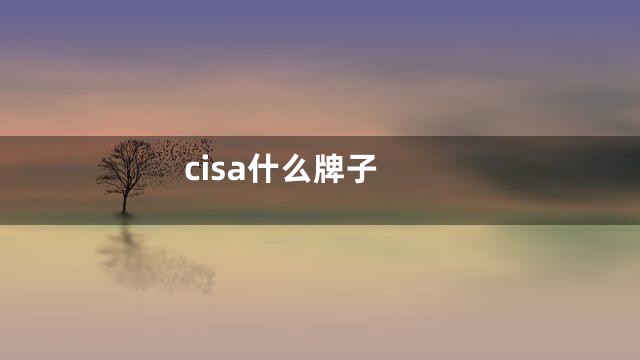cisa什么牌子