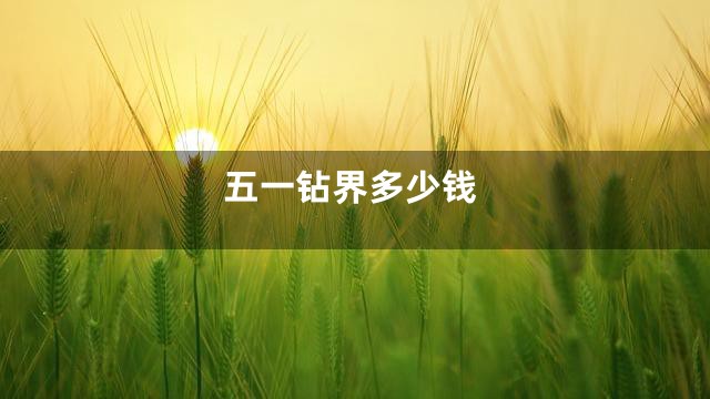 五一钻界多少钱