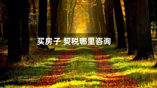 买房子 契税哪里咨询