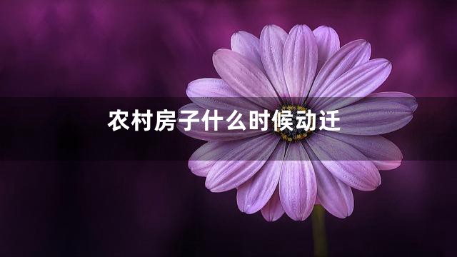 农村房子什么时候动迁