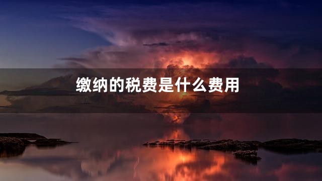 缴纳的税费是什么费用