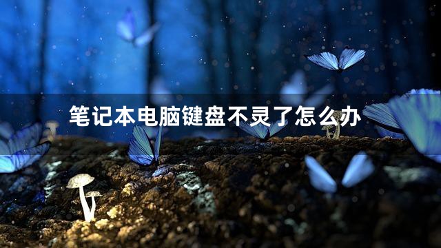 笔记本电脑键盘不灵了怎么办