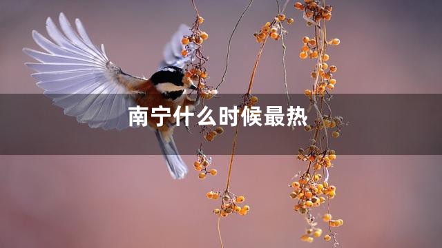 南宁什么时候最热