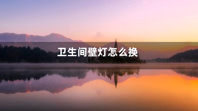 卫生间壁灯怎么换