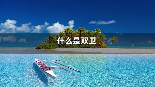 什么是双卫