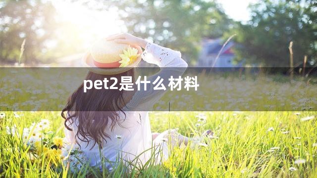 pet2是什么材料