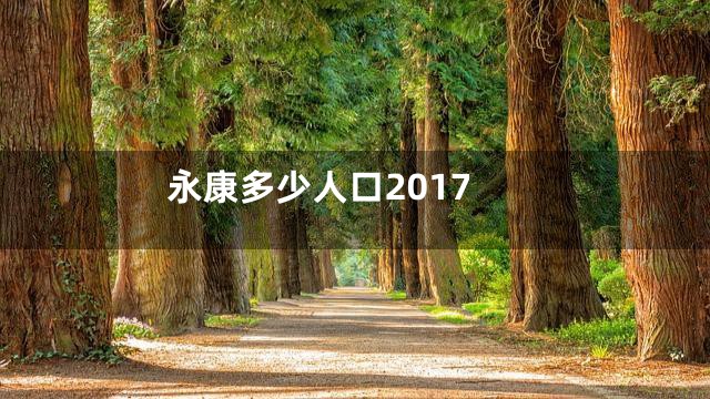 永康多少人口2017