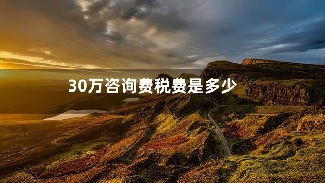 30万咨询费税费是多少