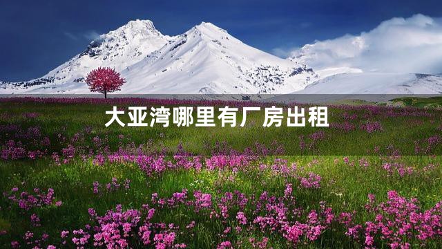 大亚湾哪里有厂房出租