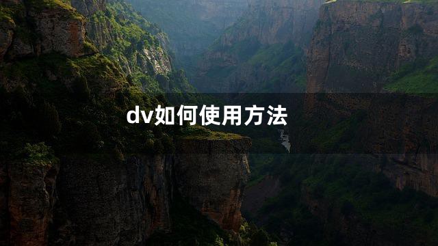dv如何使用方法