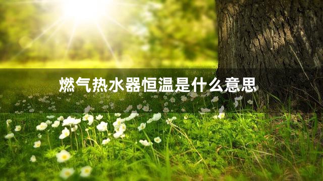 燃气热水器恒温是什么意思