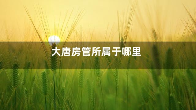 大唐房管所属于哪里