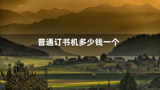 普通订书机多少钱一个