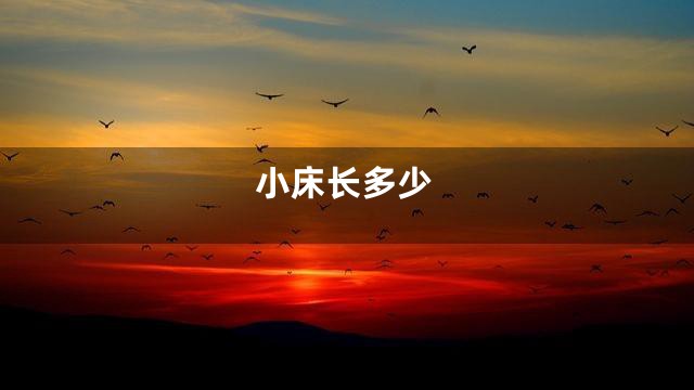 小床长多少