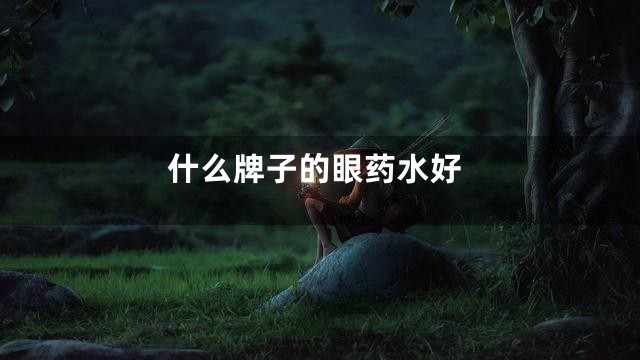 什么牌子的眼药水好