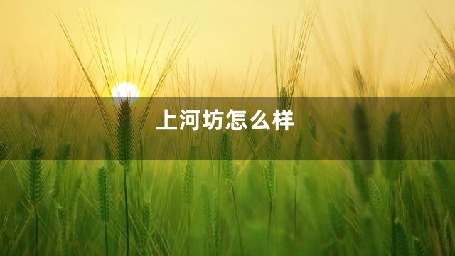 上河坊怎么样