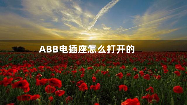 ABB电插座怎么打开的