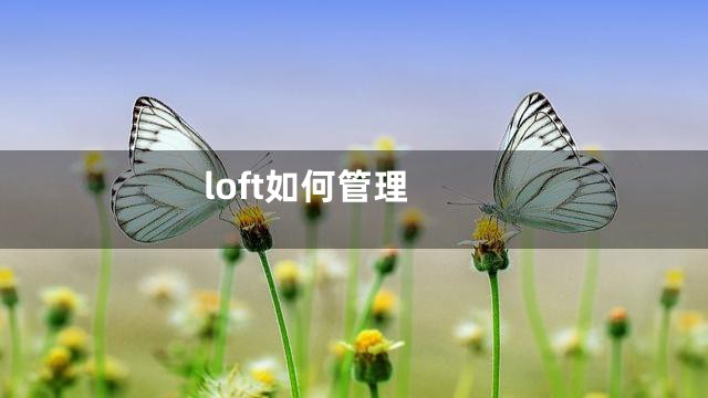 loft如何管理