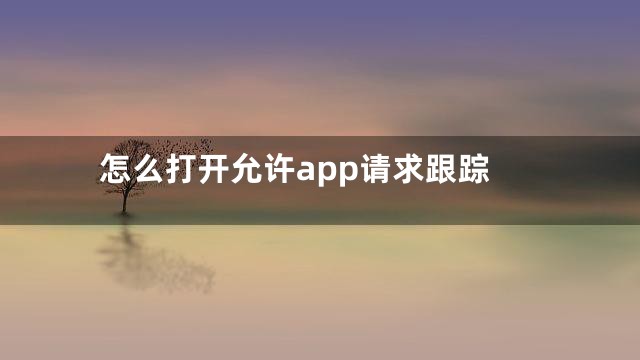 怎么打开允许app请求跟踪