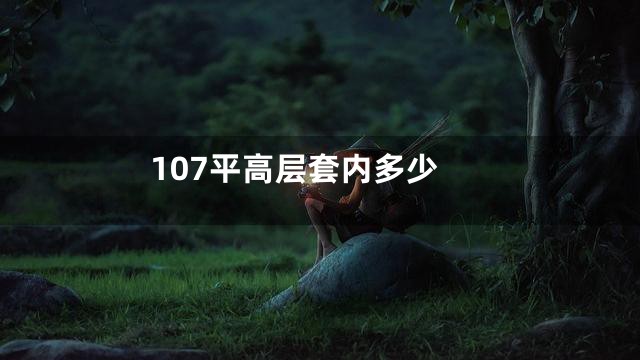 107平高层套内多少