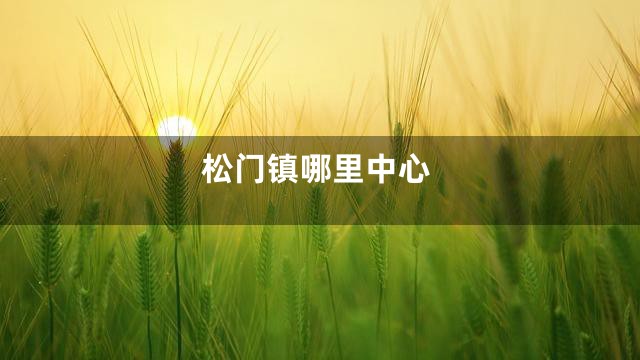 松门镇哪里中心