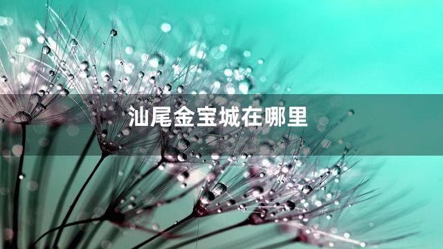 汕尾金宝城在哪里