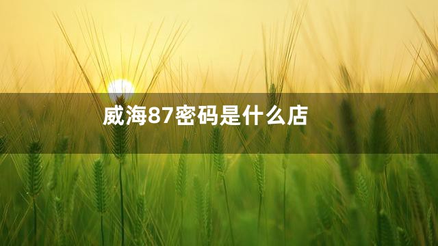 威海87密码是什么店