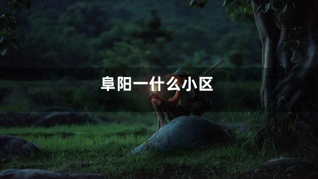 阜阳一什么小区