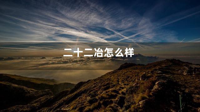 二十二冶怎么样