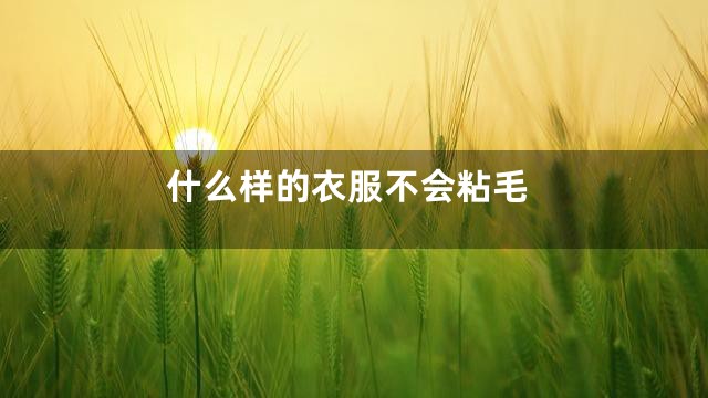 什么样的衣服不会粘毛