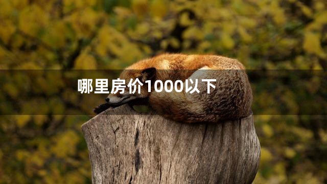 哪里房价1000以下